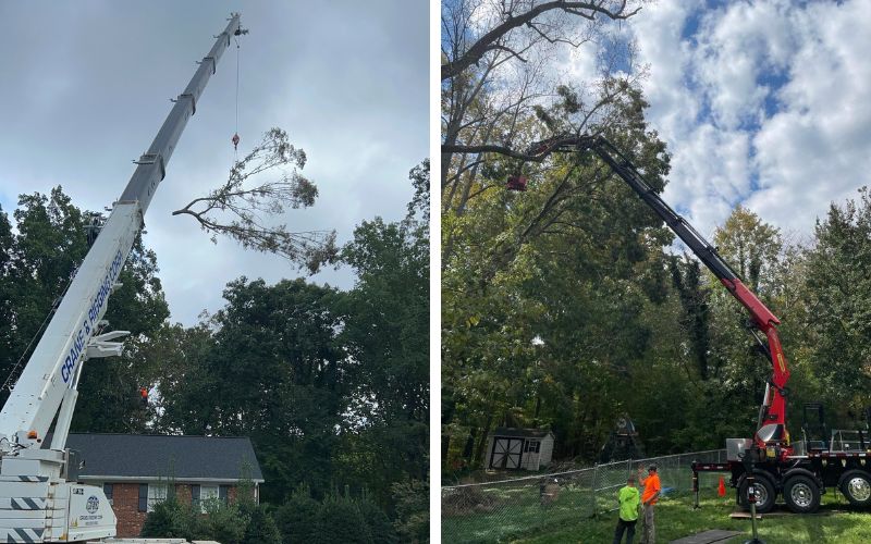 On the left, a Godspeed Tree crane removes a section of a tree by lifting it over a house. On the right, the Godspeed remote-controlled crane is used on a Winston-Salem property for tree care services.