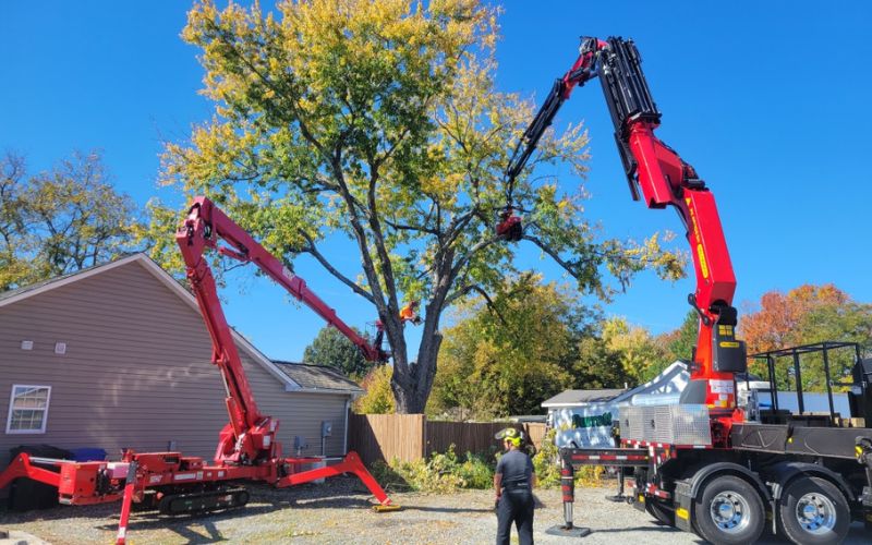 The Godspeed Tree Service crew using both a spider lift and a grapple saw remote-controlled crane during a tree removal on a Winston-Salem property.