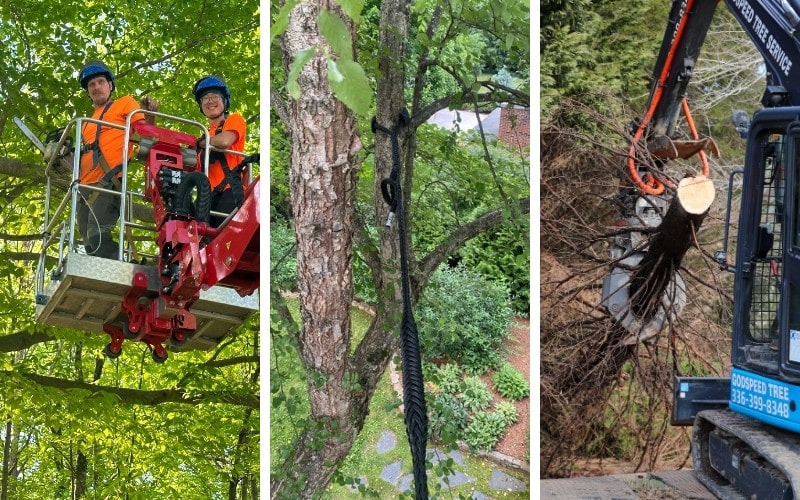 Godspeed Tree crew performing a tree inspection, cabling installation, and tree removal work during hazard mitigation in the Triad area.