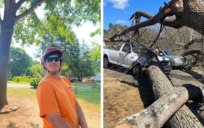 Certified arborist standing near a mature tree and a storm-damaged tree resting on vehicles after a severe weather event in Winston-Salem.