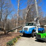 A blue and white Godspeed tree crane removing a tree.