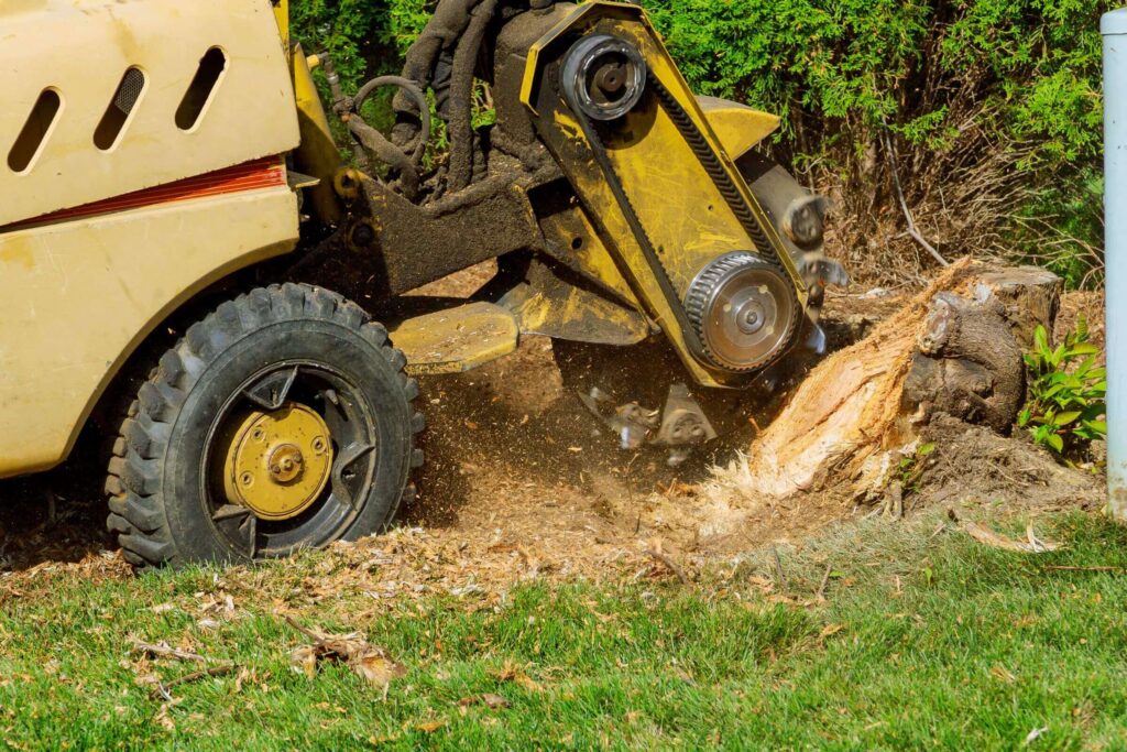 What is stump grinding? A stump grinder is used to remove stump, or stump grinding, in Winston-Salem property.