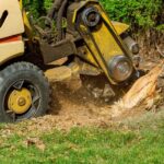 What is stump grinding? A stump grinder is used to remove stump, or stump grinding, in Winston-Salem property.