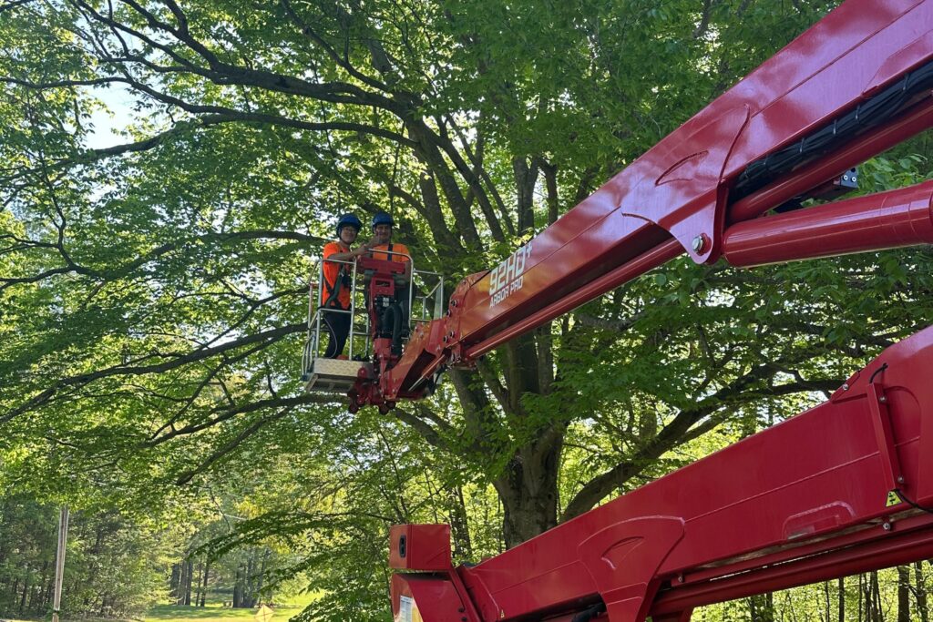 Godspeed tree crew on a open crane ready to prune a tree.