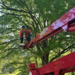 Godspeed tree crew on a open crane ready to prune a tree.