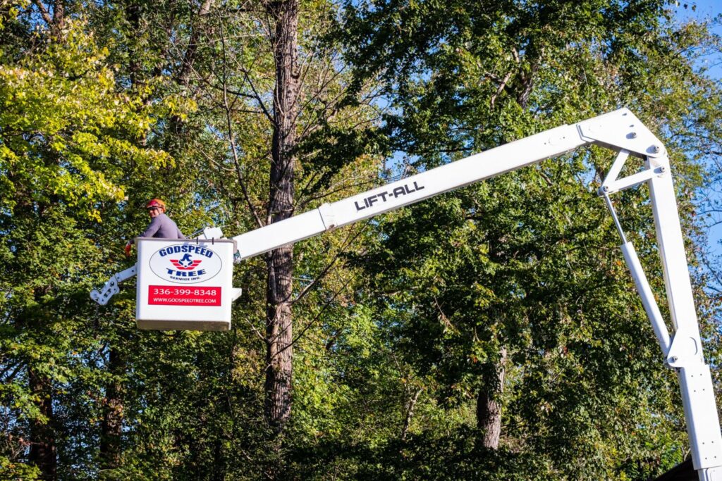 Certified Arborist at Godspeed Tree performs maintenance pruning on a tree from a bucket truck.