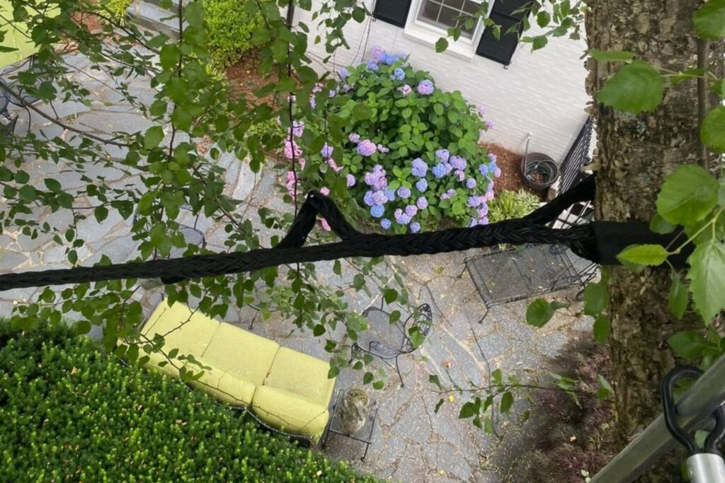 Cobra support cable installed high in a tree above a Winston-Salem yard, helping stabilize a weakened limb.