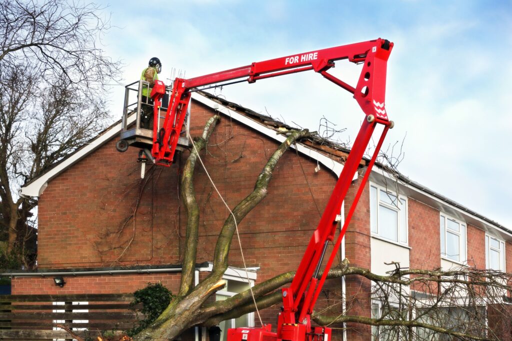 An arborist in a bucket truck, removing a tree growing alongside a home in North Carolina.