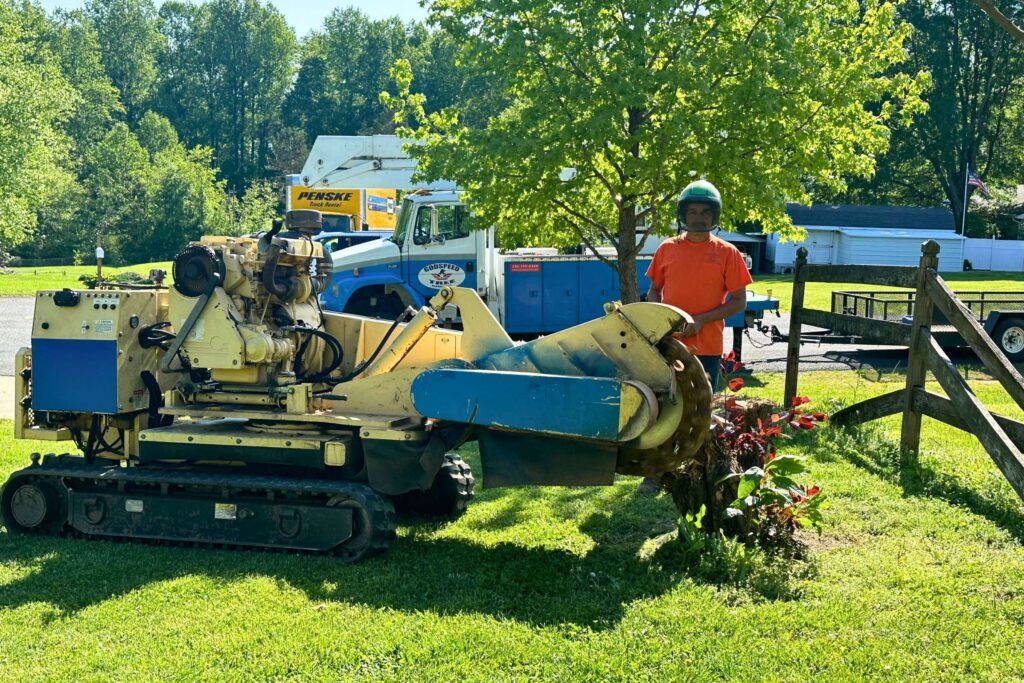 A Godspeed Tree Service professional wearing proper safety gear stands to the side while operating a stump grinder over a tree stump in a Winston-Salem yard.