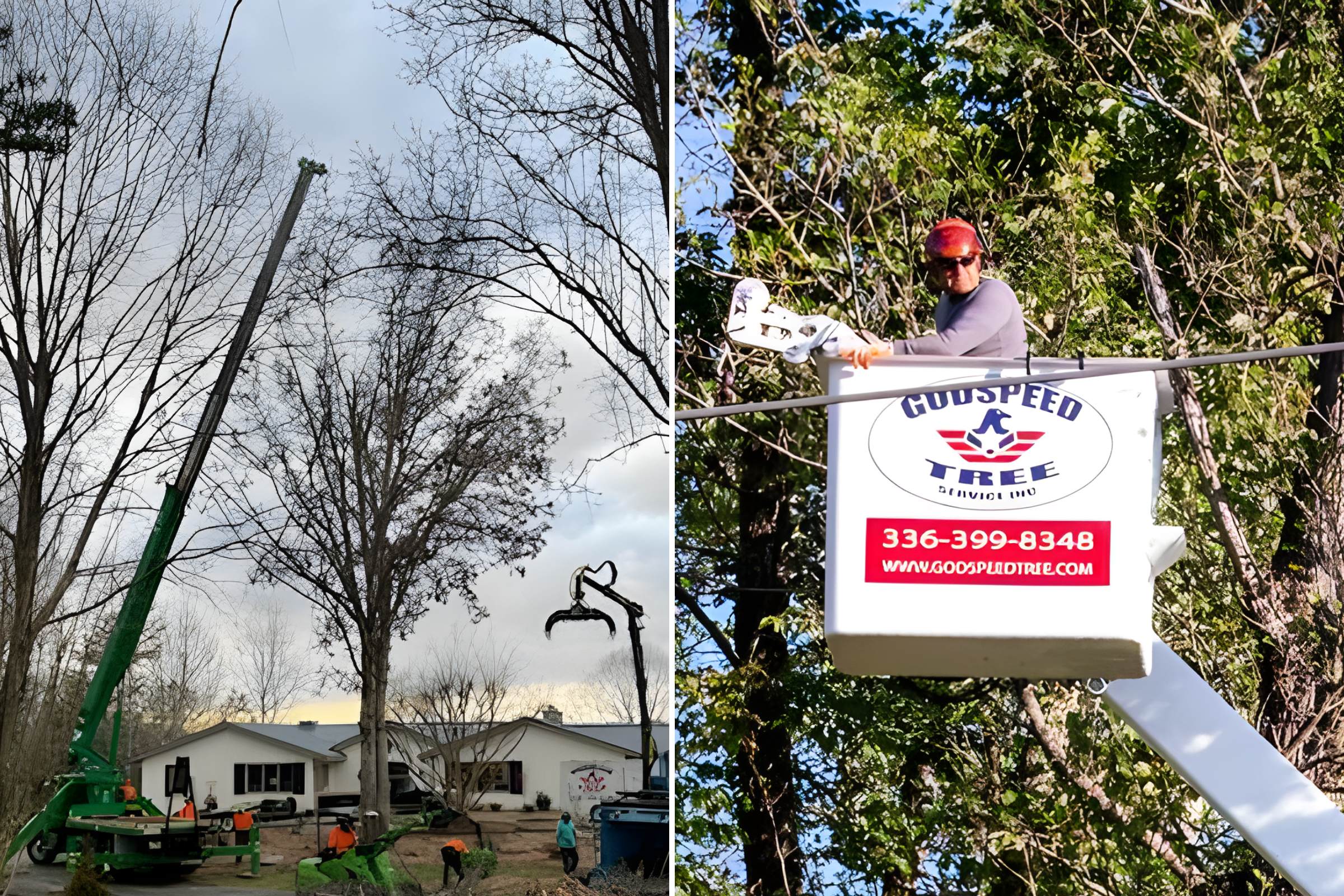 Left image of tree removal with a crane during late winter and right photo for an arborist on a bucket truck pruning trees for early spring