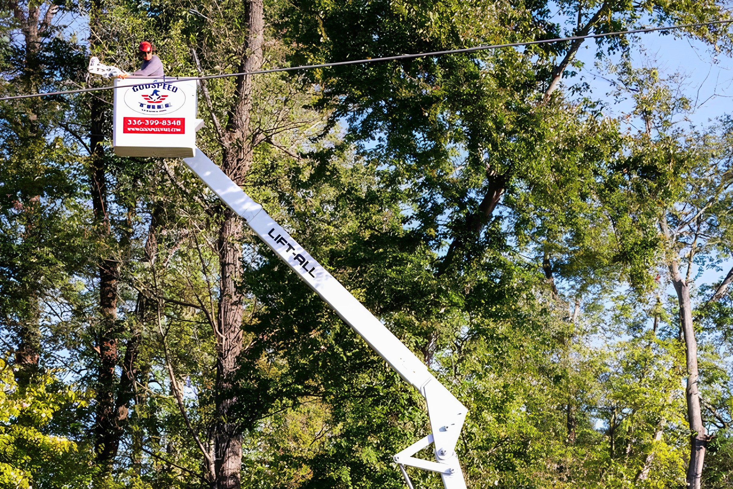Arborist performing summer pruning from an aerial lift bucket to remove branches from a mature shade tree in a Winston-Salem yard.