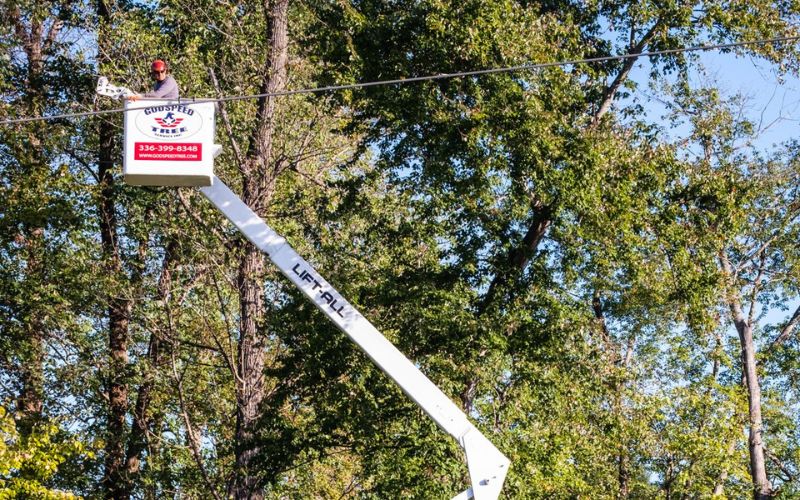 Godspeed Tree crew in a bucket doing tree pruning.