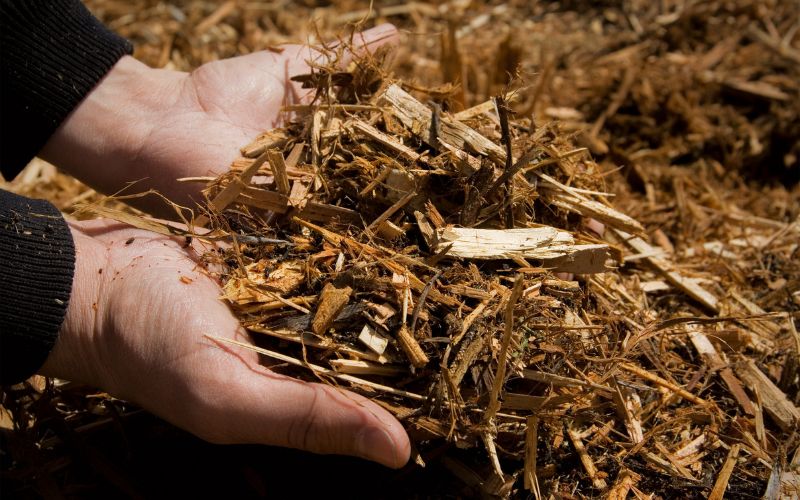 Organic mulch