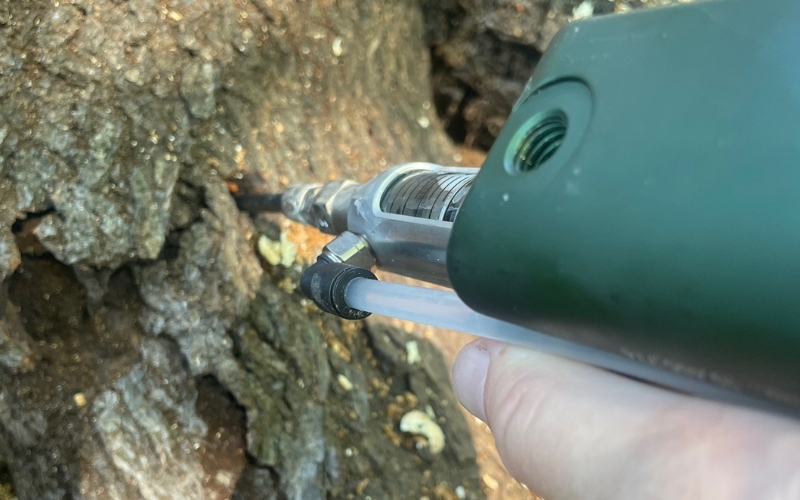 A Godspeed Tree Service professional injects a tree to treat it for disease.