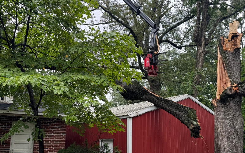 Godspeed Tree Service crane removing large storm-damaged tree branch from residential property in Forsyth County and feeding it into a chipper.