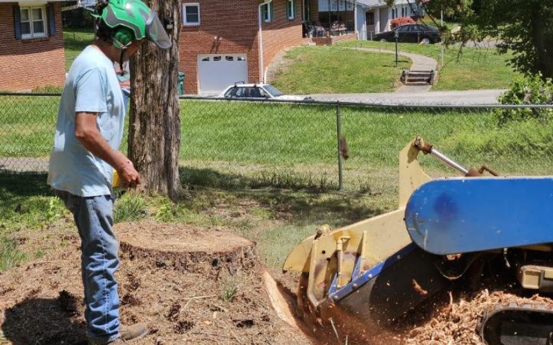 The Godspeed team grinding a large stump between two homes near Winston-Salem, North Carolina.