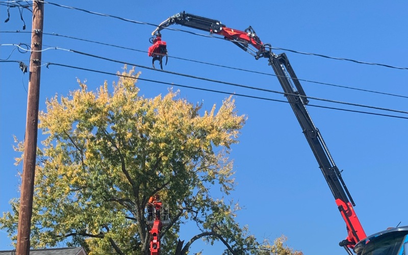 A crane operator from Godspeed Tree Service precisely positioning a tree section between power lines and a house roof during a remote-controlled crane tree removal project in Winston-Salem, NC.