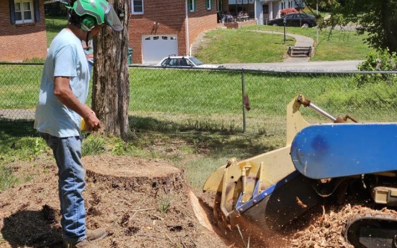 Godspeed Tree removing a large tree stump near Winston, Salem, North Carolina.