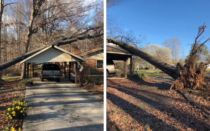 Uprooted tree fallen onto a carport roof in Winston-Salem, showing significant storm damage to the structure and vehicle.