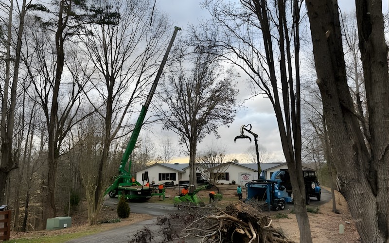 A Godspeed tree removal crew working in a residential neighborhood with a green crane lifting a large branch while workers in safety vests manage debris near a wood chipper.