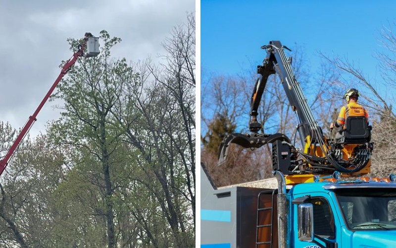 Split image showing a bucket truck operator pruning a tree on the left and a crane performing tree work on the right.
