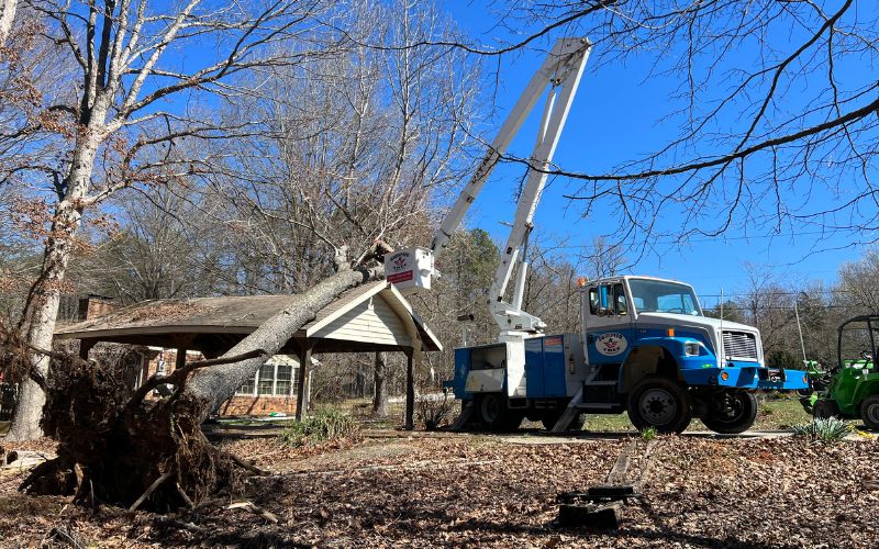 A blue and white Godspeed Tree Service bucket truck is parked and steadied as the operator works to remove a large fallen tree with exposed roots that has fallen on a residential carport on a clear day with a blue sky in the background.