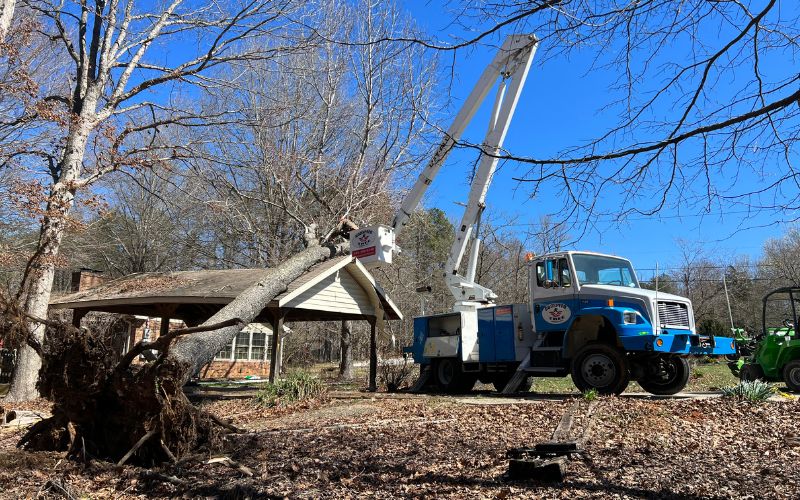 A blue and white Godspeed Tree Service bucket truck is parked and steadied as the operator works to remove a large fallen tree with exposed roots that has fallen on a residential carport on a clear day with a blue sky in the background.