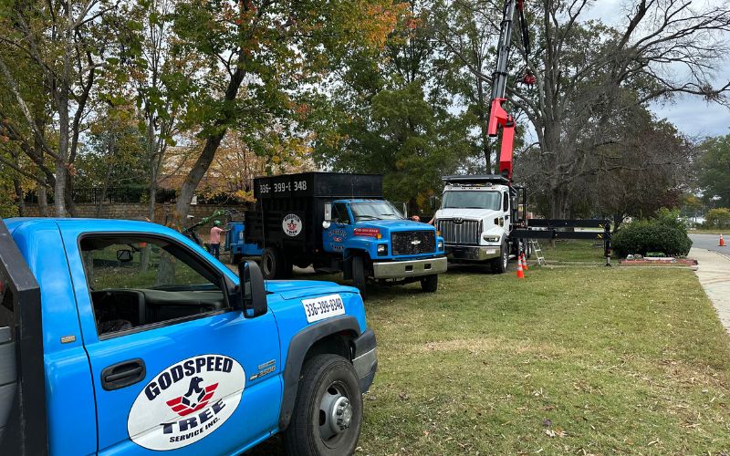 A variety of Godspeed Tree Service vehicles and equipment ready for a tree removal on a Winston-Salem area property.