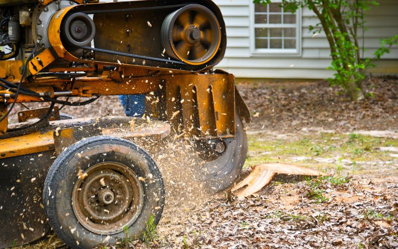 A stump grinder is used to grind out a stump on a Winston-Salem property.