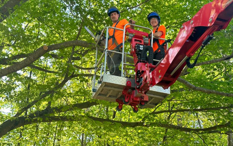 Two Godspeed Tree Service professionals with chainsaws stand on a raised silver platform of a red boom lift in front of several large trees with green leaves.