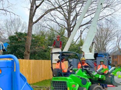 Arborists from Godspeed Tree Service using a bucket truck to prune brnaches of trees on a property in Winston-Salem, NC.