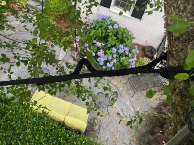 Cobra support cable installed high in a tree above a Winston-Salem yard, helping stabilize a weakened limb.