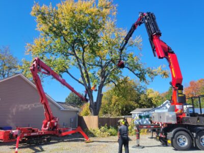 Remote-controlled crane with grapple saw removing large oak tree sections in Winston-Salem neighborhood with operator controlling from safe distance