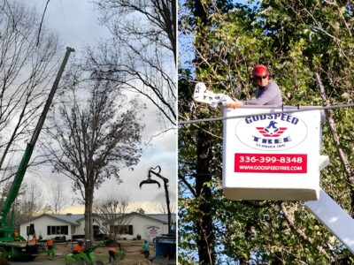 Left image of tree removal with a crane during late winter and right photo for an arborist on a bucket truck pruning trees for early spring