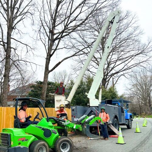 Godspeed-website-pruning-section-crew-bucket