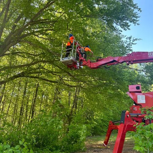 Godspeed-website-pruning-section-spider-lift