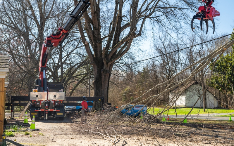 Heavy-duty crane with grapple attachment removing large storm-damaged tree branches near power lines in Winston-Salem residential area. 