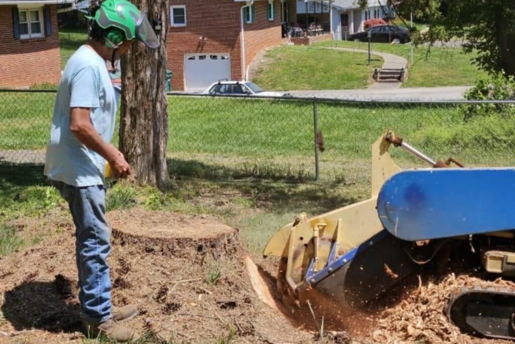 Operator grinding a tree stump below ground level, leaving wood chips and a shallow depression.