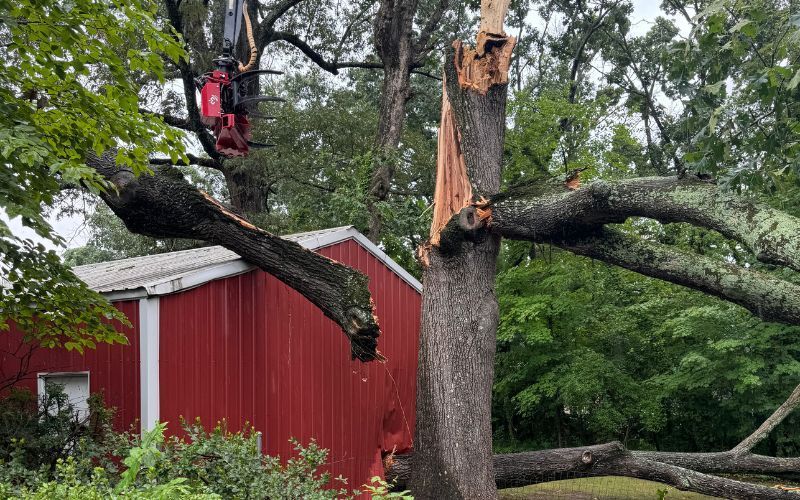 Split storm-damaged tree being removed with a TreeMek crane.