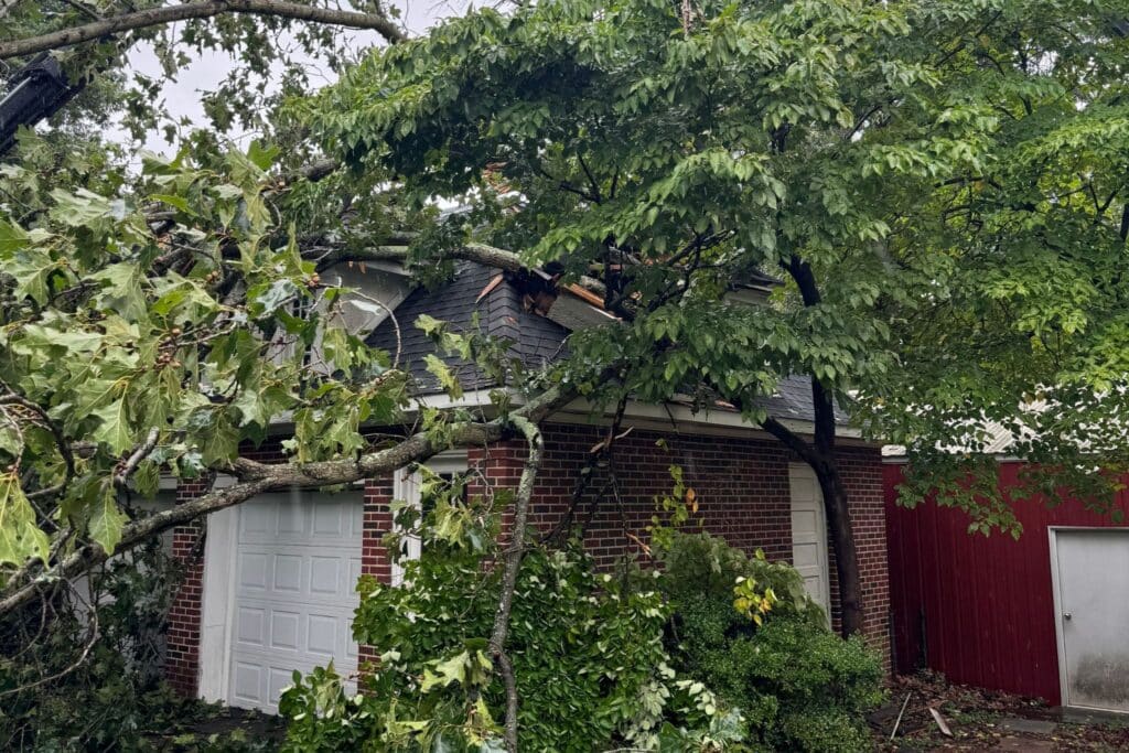 Storm-damaged tree and broken branches resting on the roof of a home.